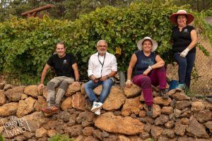 VINOS TENERIFE