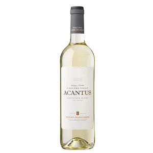 Acantus Blanco 2024