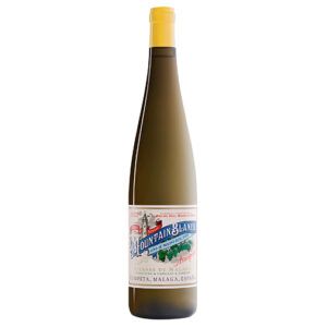 Mountain Blanco Seco 2021