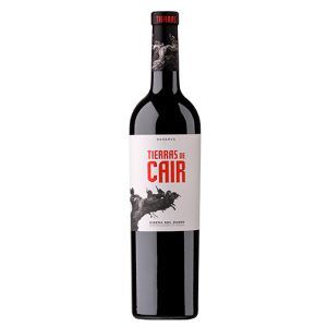 Tierras De Cair 2019